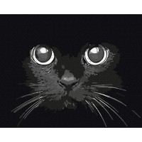 Погляд ночі