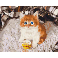 Грайливе кошеня