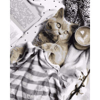 Улюблений котусь