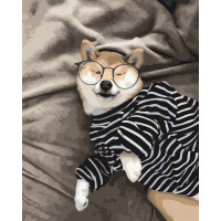 Розумний песик @rocky.and.rudy