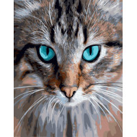 Льодяний котячий погляд