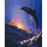 Захід дельфіна