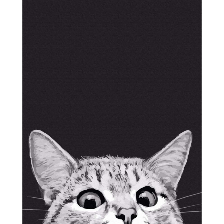 Котяче полювання