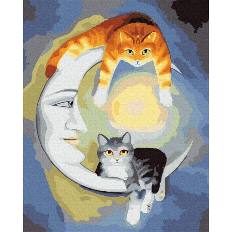 Нічні коти