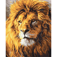 Погляд на прайд