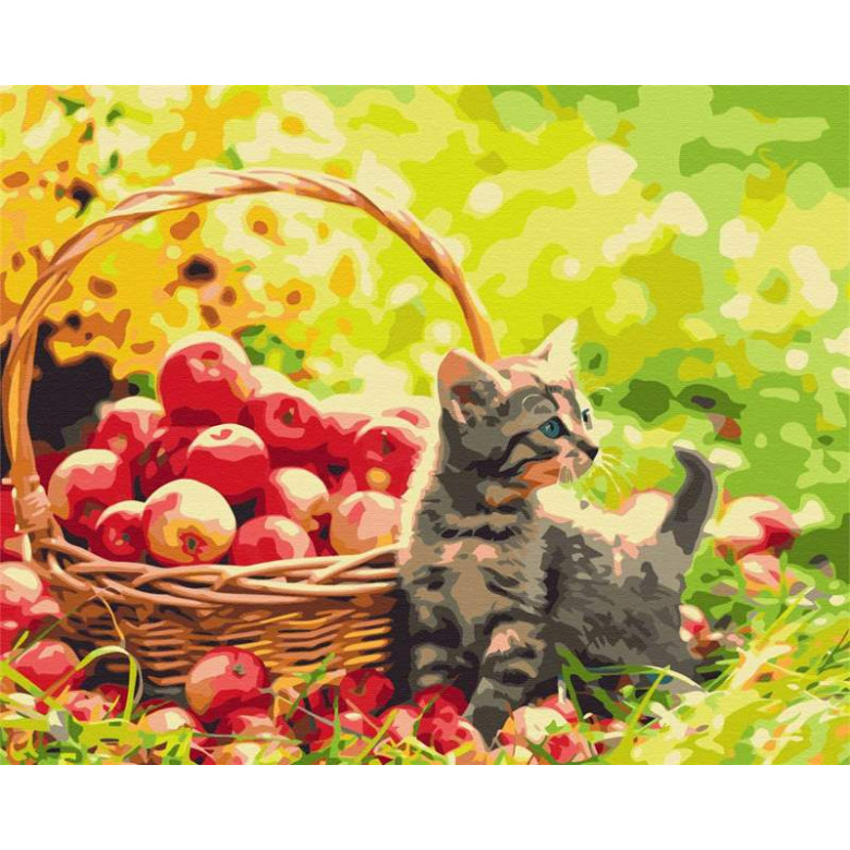 Яблучний котик