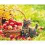 Яблучний котик
