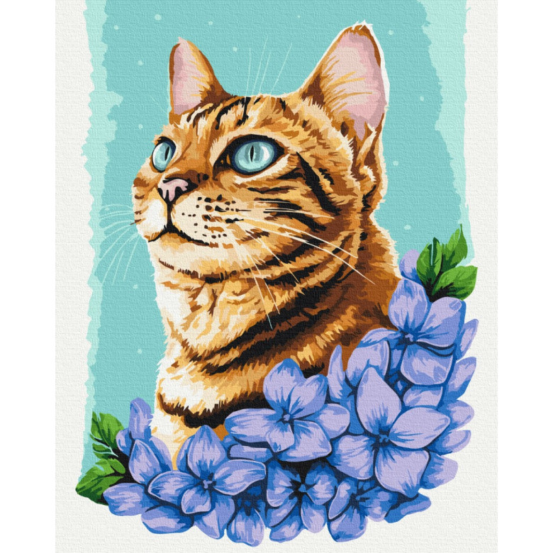 Лазурний котик © Anna Kulyk