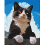 Допитливий котик