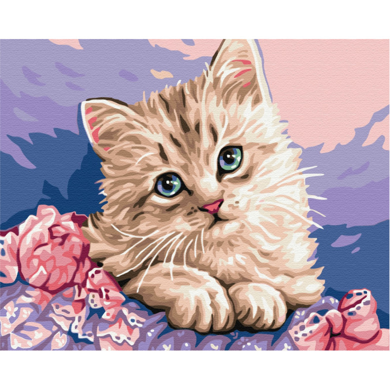 Синьооке кошеня