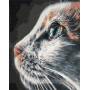 Котопрофіль
