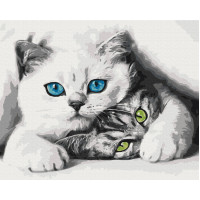Муркотики