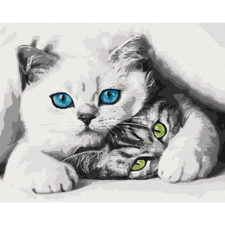 Муркотики