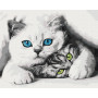 Муркотики
