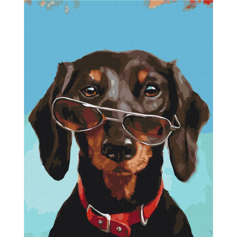 Пан Pancho ©Lucia Heffernan