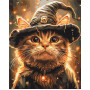 Котик маг
