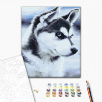 Щеня Хаскі Щеня Хаскі