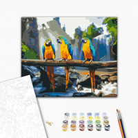 Тропічні ара