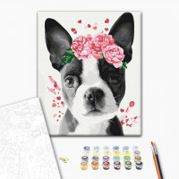 Бостон тер'єр у віночку