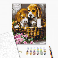 Парочка в кошику Парочка в кошику