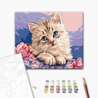 Синьооке кошеня