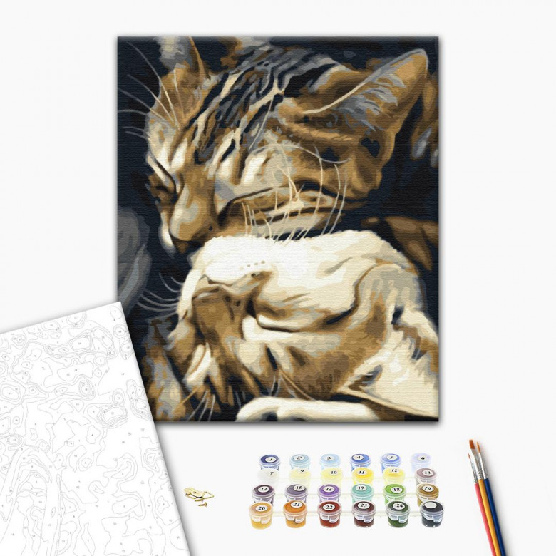 Сплячі котики
