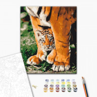 Тигреня в могутніх лапах