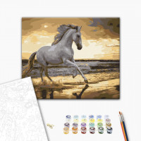 Біг риссю на узбережжі