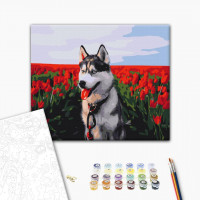 Хаскі в тюльпановому полі