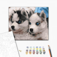 Цуценята хаскі Цуценята хаскі