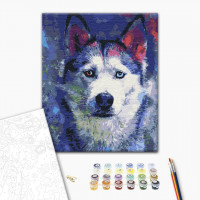 Погляд Хаскі Погляд Хаскі