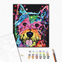 Різнобарвний Барсик Різнобарвний Барсик