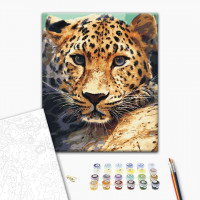 Портрет леопарда Портрет леопарда