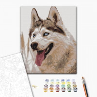 Сіроманець