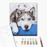 Хаскі в очікувані