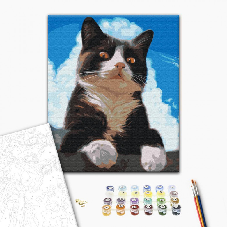 Допитливий котик