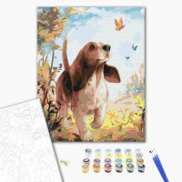 Слідом за метеликами