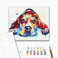 Веселковий улюбленець