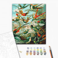 Пернате царство Пернате царство