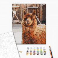 Лама на фермі Лама на фермі