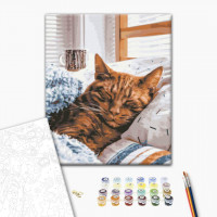 Ранковий котик Ранковий котик