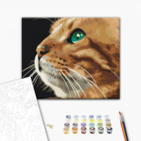 Погляд рижулі Погляд рижулі