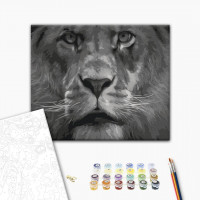 Лев в чорно-білих тонах Лев в чорно-білих тонах