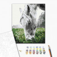 Cіра конячка