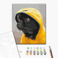 Мопс в худі Мопс в худі