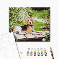 Довговухий друг