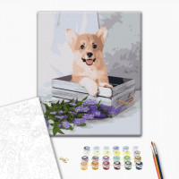 Грайливий коргі