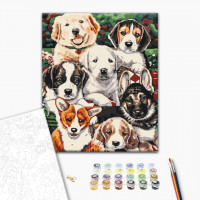 Цуцики Цуцики