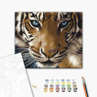 Погляд тигра Погляд тигра