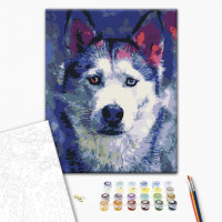 Погляд Хаскі Погляд Хаскі